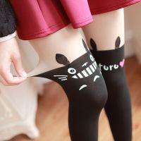 {demon dream} Pantyhose Totoro น่ารัก