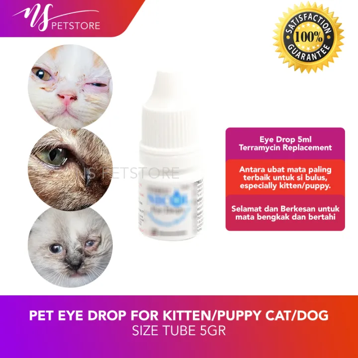 Ubat Mata Kucing Kitten Eye Drop For Kitten Puppy Lazada