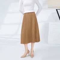 Thickening in long skirts since pleated skirt waist miyake fold show thin new winter posed the a-line