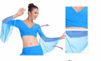 Belly Dance Tops for Women Belly Dancing Costume Dress Hot Popular Sexy Women Chiffon Lake Blue on sale