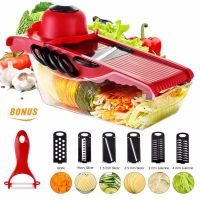 Vegetable Slicer Cutter of Godmorn - 6 Interchangeable Blades with Peeler Storage Container Cutter for Potato,Tomato, Onion etc