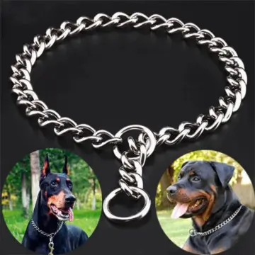 Silver cuban outlet link dog collar