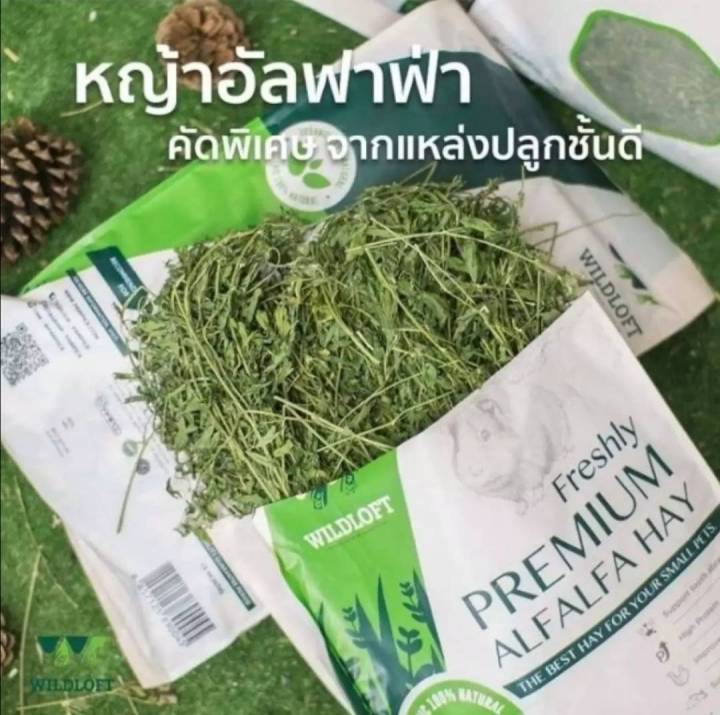 หญ้า-wildloft-premium-alfalfa-hay-หญ้ากระต่าย-ชินชิล่า-หนูแก๊สบี้-และสัตว์ฟันแทะทุกชนิด-คัดเกรดพรีเมียม-คุณภาพสูง-510-g