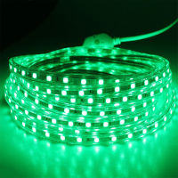 220V LED Strip light Waterproof SMD 5050 60ledsm IP67 Warm White Led Lighting Stripe Lamp Lights For Outdoor Home Living Room