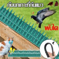 【Clitomk】หนามกันนก แผงหนามกันนก แบบพลาสติก  ป้องกันไฟฟ้าสถิต ที่กันแมว Anti Bird Spike พับได้ ตัดได้ ทนแดดทนฝน