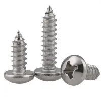 M2 M2.2 M2.6 M3 M3.5 Stainless Steel 316 Round Head Cross Self-tapping Screw Pan Head Screw