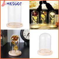 HESUOI โต๊ะ Terrarium การตกแต่งบ้าน ไห สวนขวด ขวดใส ผ้าคลุมกันฝุ่น กล่องเก็บดอกไม้ ผ้าคลุมแก้ว ฐานไม้