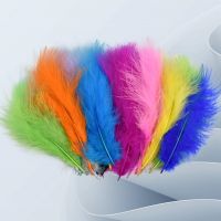 20Pcs/Lot Colorful Fluffy Marabou Feather Turkey Feathers for Needlework Accessories Plumes Artificial Decorations