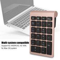 คีย์บอร์ด Keyboard Numerik Handfeel ที่สะดวกสบายสำหรับแล็ปท็อปและแท็บเล็ต