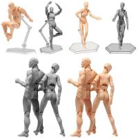 SHFiguarts BODY KUN BODY CHAN DX ชุด PVC อะนิเมะต้นแบบเขาเธอเฟอร์ไรต์ Figma Movable Action Figure รุ่น Miniatures ของเล่นตุ๊กตา