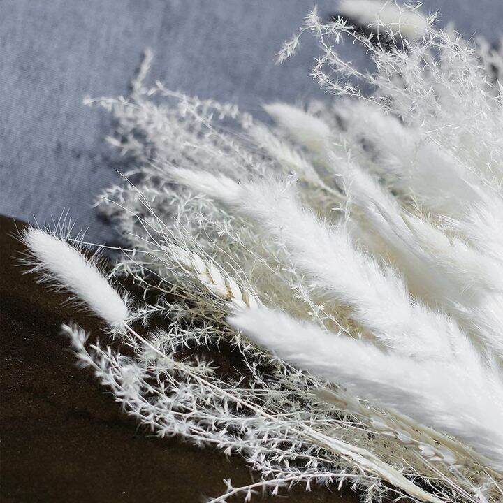 cc-65pcs-pampas-boho-wedding-arrangement-dried-bouquets-fluffy-iving-room-table-decoration