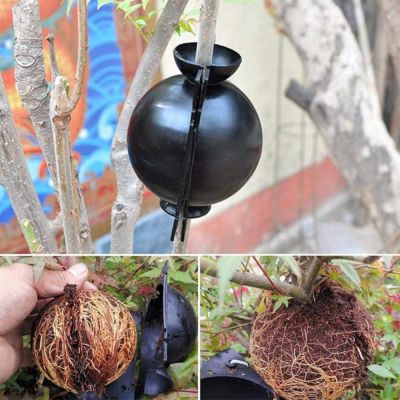 Plant Propagation Rooting Device High Pressure Heel Controller Seedling Germination Cutting Grafting Bonsai Tool Pruning