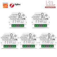 2แก๊ง Tuya ชีวิตสมาร์ท ZigBee สวิทช์แสงโมดูลพลังงานไฟฟ้าตรวจสอบ KWh จับเวลาทำงานร่วมกับ Home Alexa