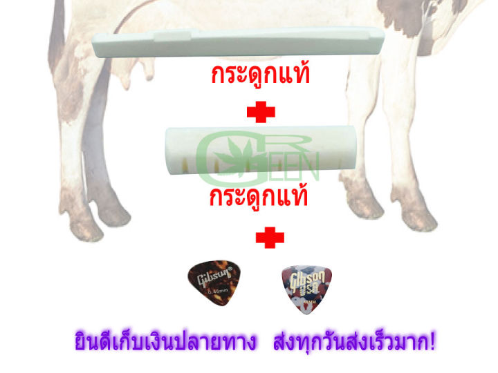 Nut / Saddle / นัท หรือ หย่อง กระดูกวัวแท้ กีตาร์โปร่ง แถม ปิ๊กกีต้าร์ 2 อัน 0.46-0.73 พร้อมส่ง!!