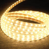 ไฟเส้นแอลอีดี สีเหลือง กันน้ำ IP65 220V SHINING 5M ไฟเส้น LED Strip Light มีปลั๊กเสียบ 40W Warm white TOSHIBA