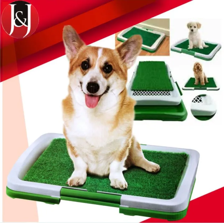 Puppy Potty Pad Perfect Pets Indoor Dog Toilet Training Lazada PH