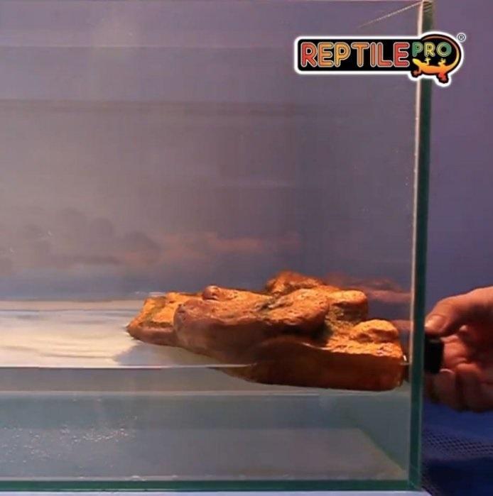 reptilepro-turtle-island-rta-002-size-l-เกาะลอยน้ำสำหรับเลี้ยงเต่า-ตะพาบ-กบ-สัตว์ครึ่งบกครึ่งน้ำ-ติดในตู้กระจก