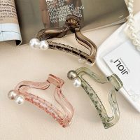 Korean Style Sweet All-Match Large Grip Summer Fresh Transparent Texture Hair Claw Back Head Updo Shark Clip Hairpin