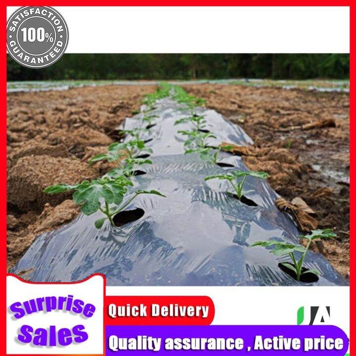 hot sale High Mulch Film (4 feet width x 10 meters long 30 microns thickness) precut Lazada PH
