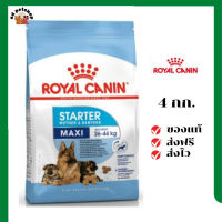 ?ส่งฟรี Royal Canin ลูกสุนัข สูตร Maxi Starter เม็ดใหญ่  ขนาด 4 กิโลกรัม เก็บเงินปลายทาง ✨