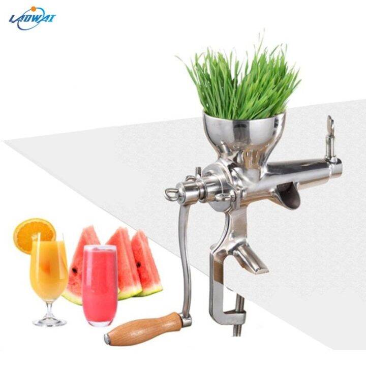 Stainless Steel Wheatgrass Juicer Auger Slow Squeezer Fruit Wheat Grass