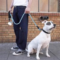 Reflective Dog Belt Pet Reflective Silk Traction Rope Reflective Nylon Suture at Night Dog Walking Rope