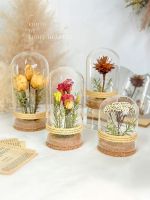 【Ready】? d flowers dried flowers rose pl specimens glass s micro- s birthy Ce nes Day s Day fts