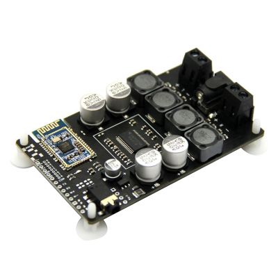 Bluetooth Amplifier Board Portable 25W Resonance Vibration Speaker TPA3118 Sound Neodymium Altavoz DC 12V 5A