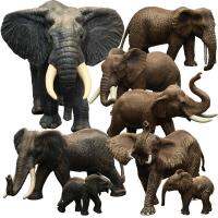 Solid simulation animal model of wildlife early childhood cognitive toy elephant African elephants elephants in furnishing articles