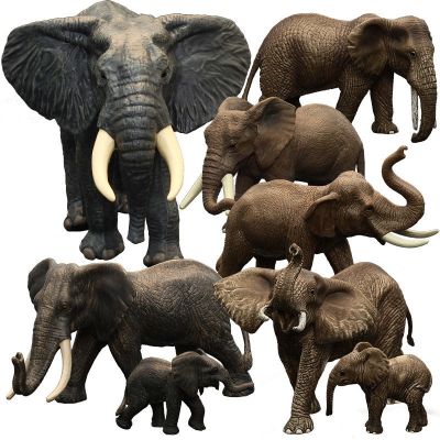 Solid simulation animal model of wildlife early childhood cognitive toy elephant African elephants elephants in furnishing articles