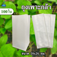 ถุงเพาะกล้า ทีเอบี อินโนเวชั่น  ขนาด 20 x 26 เซนติเมตร จำนวน 100 ใบ