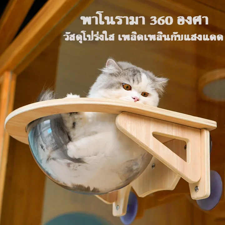 yohei-หลุมแมว-ที่นอนแมว-ติดกระจก-หลุมอวกาศใส-งานไม้มินิมอล-ที่นอนนอนแมวติดผนัง-พร้อมหลุมใสอะคริลิค-รับน้ำหนักได้-30-kg