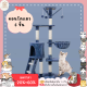 ♥ 𝗮𝗹𝗹𝘀𝘁𝗮𝗿 ♥ คอนโดแมว คอนโดแมวถูกๆ 6ชั้น Cat condo มี3สีให้เลือก บ้านแมว ของเล่นแมว ที่นอนแมว เสาลับเล็บแมว ที่ฝนเล็บแมว✅