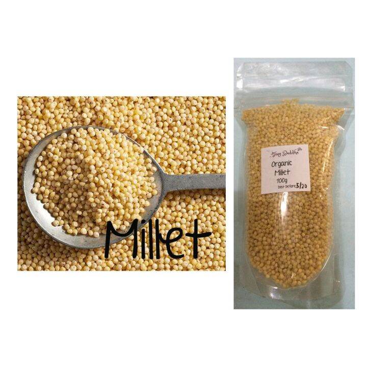 organic millet grains 100g Lazada PH