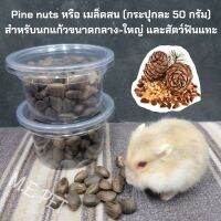 pine nut หรือถั่วเม็ดสน อาหารว่างสำหรับนกแก้วขนาดกลาง-ใหญ่ และสัตว์ฟันแทะต่างๆ (50กรัม)