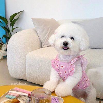 Flower Dog Clothes Summer Yorkshire Dress Teddy Bichon Pullover Pet Poodle Bo Thin Princess Dress Pet Supplies Dresses