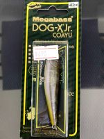 เหยื่อปลอม Megabass Dog-X Jr.Coatu