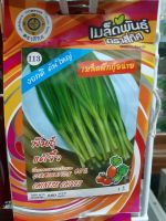 เมล็ดผักกุ้ยฉ่าย พันธุ์แต้จิ๋ว 4 ทิศ 10 แถม 1 เมล็ดผัก เมล็ดพันธุ์ ตรา สี่ทิศ 4ทิศ