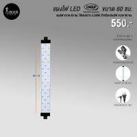 หลอดไฟ DEEP ขนาด 60 ซม.