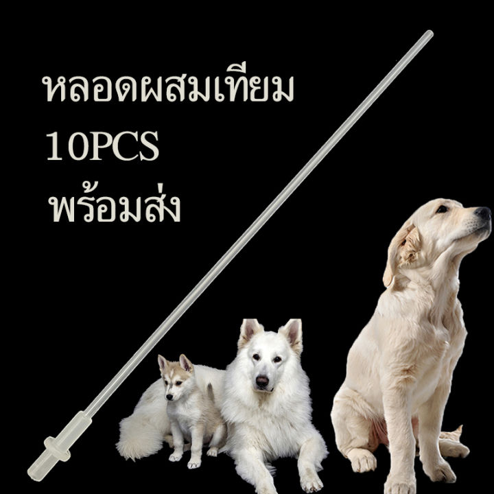 หลอดผสมเทียม-ผสมเทียมสัตว์-หมา-สุนัข-แพะ-แกะ-breeding-catheter-tube-for-dog-ชุดละ10หลอด-พร้อมส่ง