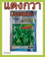 เมล็ดพันธุ์ แตงกวา cucumber ทนร้อน อร่อย ดูแลน้อย ต้นแข็งแรง ปลูกง่าย น้ำหนักดี ผลผลิตสูง ทนโรค ผักสวนครัว