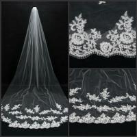 2023 New 1T Lace Long Wedding Veil Cathedral Length Appliques Bridal Veils with Comb Wedding Accessoires Hair Accessories