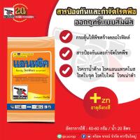 แอนทริค ขนาด 1 กิโลกรัม สารป้องกันและกำจัดโรคพืช, โรคราน้ำค้าง, โรคใบจุด, โรคใบไหม้, โรคแอนแทคโนส, โรคเน่าดำ