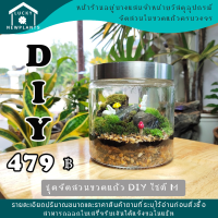 ชุดจัดสวนในขวดแก้ว DIY ไซต์ M-1 ราคา 479 บาท