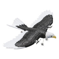 FX651 RC Plane Eagle Airplane 2.4G Remote Control Aircraft EPP Foam Fixed-wing RC Glider Model For Boys Girls Gifts