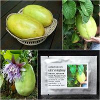 เมล็ดพันธุ์ เสาวรสยักษ์ แตงสา สุคนธรส 15 เมล็ด Giant Passion Fruit Seed, Giant Granadilla ของแท้ เมล็ดพันธุ์พืช ผักสวนครัว เมล็ดพันธุ์ผัก