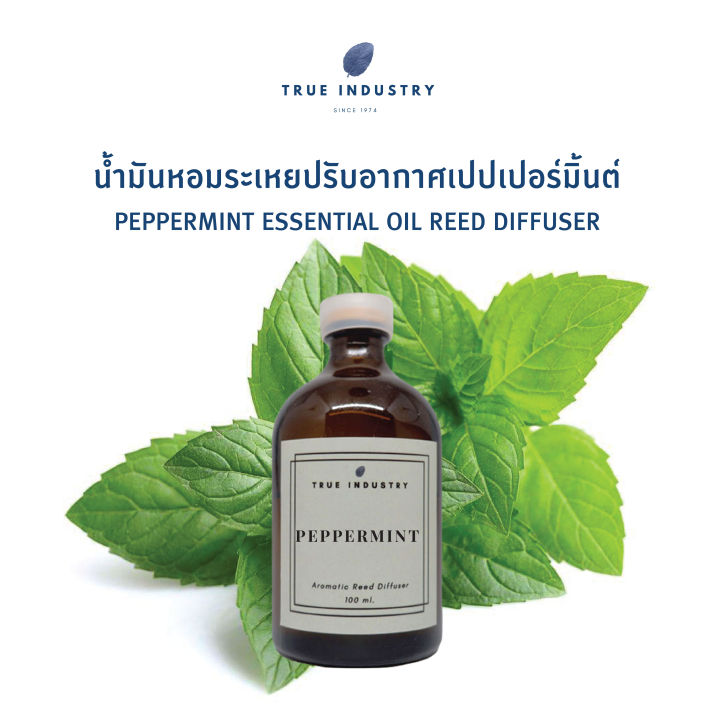 น้ำมันหอมระเหย-เปปเปอร์มิ้นต์-สำหรับปรับอากาศ-peppermint-essential-oil-reed-diffuser