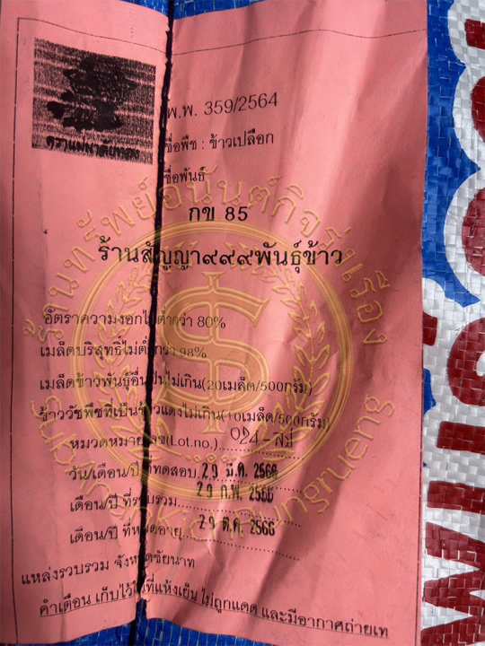 ส่งฟรี-กข85-เมล็ดพันธุ์ข้าว-กข85