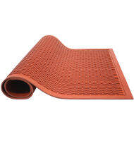 Primaflex Anti Dirt Mat