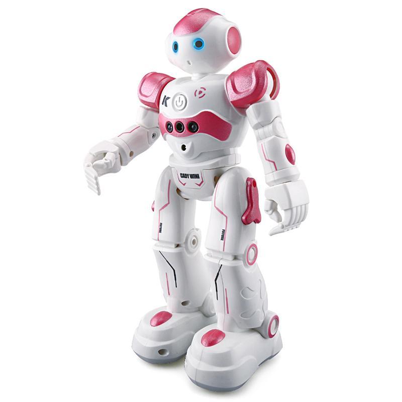 Intelligent Programming Remote Control Robot Toy Biped Humanoid Robot RC Robot 